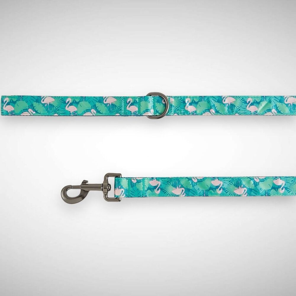 Top Paw Flamingo Graphic Satin Nylon Dog Leash D-Ring Handle‎ 4 FT